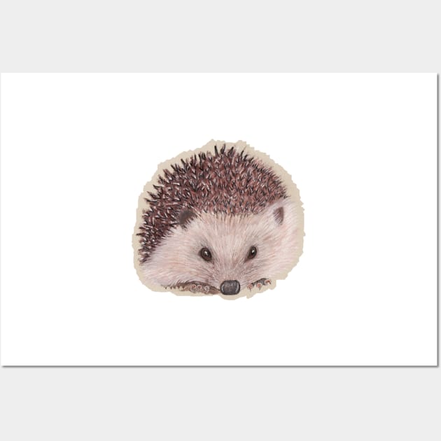 Hedgehog Wall Art by MagsWilliamson